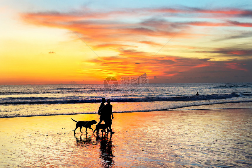 带狗在热海滩上行走的一对夫妇休眠图片
