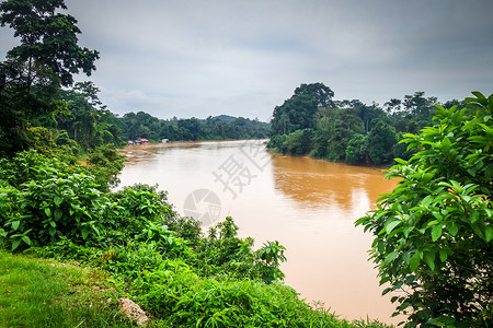 嘉是否树塔曼尼加拉公园马来西亚塔曼尼加拉公园的河流和丛林背景