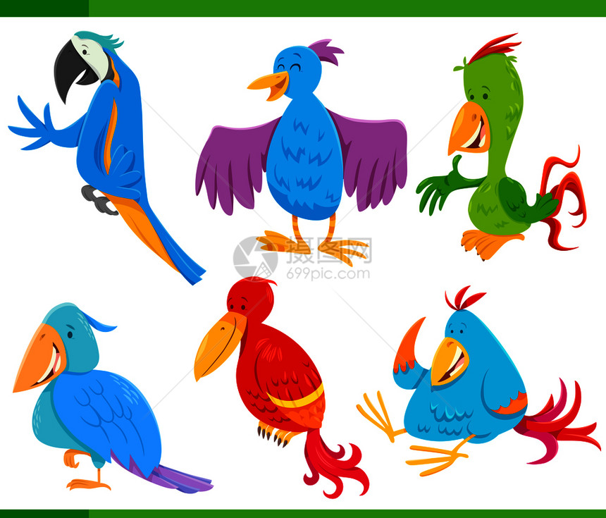 有趣的多彩鸟图片