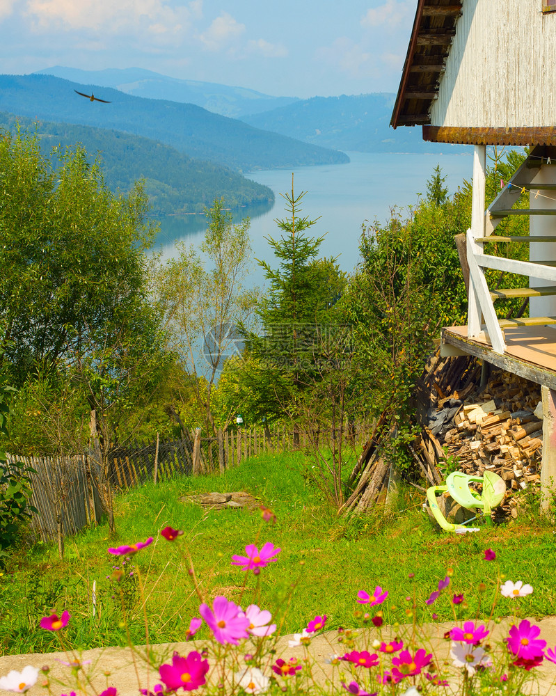 由Munteli山湖zvorulmnteiamtroni组成的绿色花卉园中图片