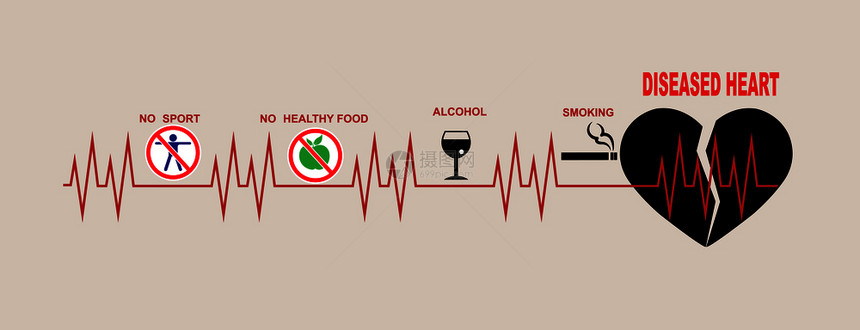心脏和血管直线影响健康状况的因素图片
