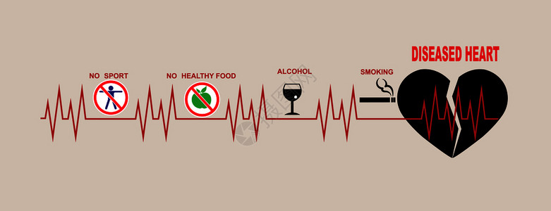 心脏和血管直线影响健康状况的因素图片