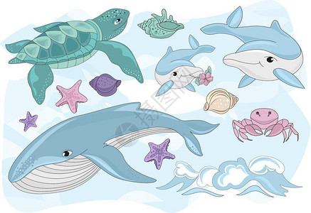海底世界动物矢量插画图片