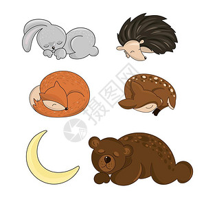 卡通可爱睡觉的动物图片
