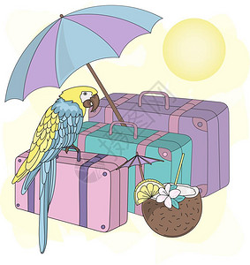 行李箱上的鹦鹉图片