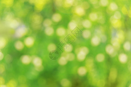 具有明阳光照和bokeh效应的绿色黄自然背景环境友好概念中设计要素或演示模板的糊背景背景图片