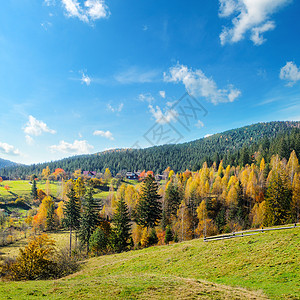 山坡上的秋天森林美丽的风景图片