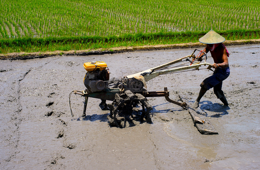 在稻田yon拖拉机工作和一起的人图片