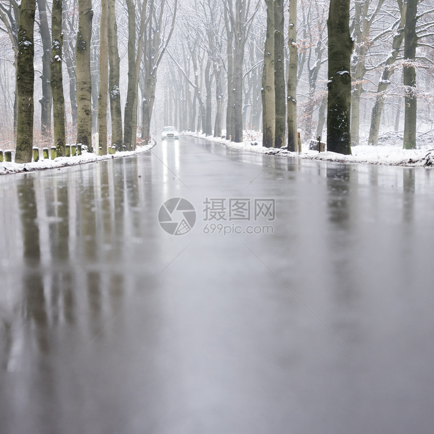 在奥斯特利茨和霍伦德的奥斯特利茨附近冬秋天的雪林中在柏油路和湿面反射图片