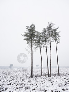 斯福察景观降雪高清图片