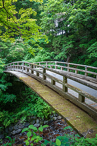日式植物园中传统的日本木桥的Niko日本的Nikpan图片