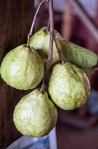 新鲜的长或普通瓜瓦热带水果异国水果图片
