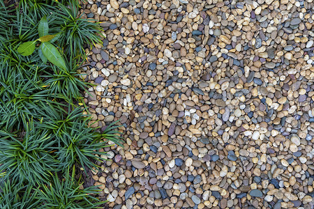 园艺概念小石头绿色植物在花园里装饰用来走路抽象背景背景图片