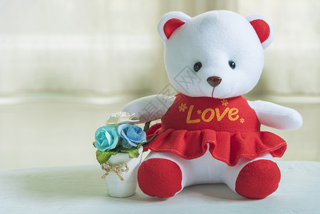 孤立的纪念板情人节爱和婚礼背景概念可爱的熊有吗衬衫和花盆有白色背景图片添加文字信息设计艺术工作的背景背景
