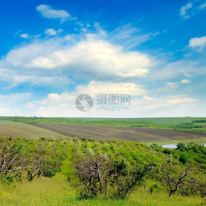 果园农田和蓝云天空农业景观图片