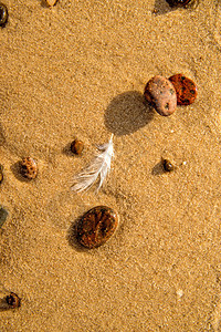 在沙滩上的羽毛在石子和沙滩上图片