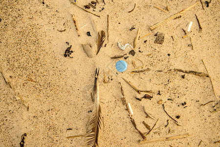 沙滩上的塑料废物蓝盖图片