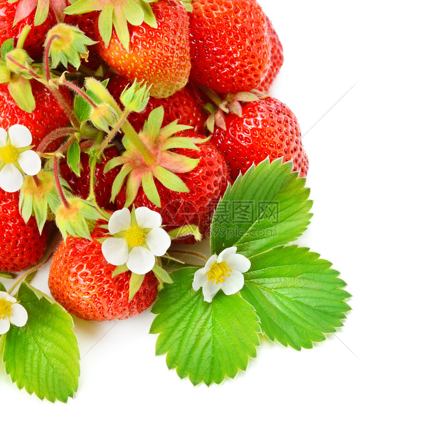 在白色背景中孤立的草莓和绿叶图片