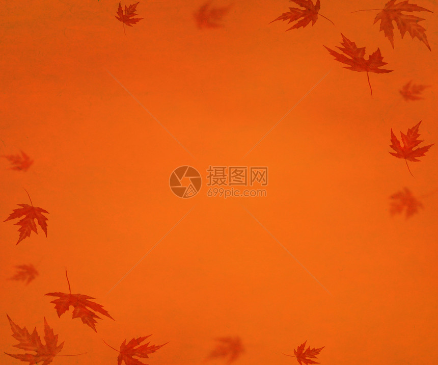 秋背景图片