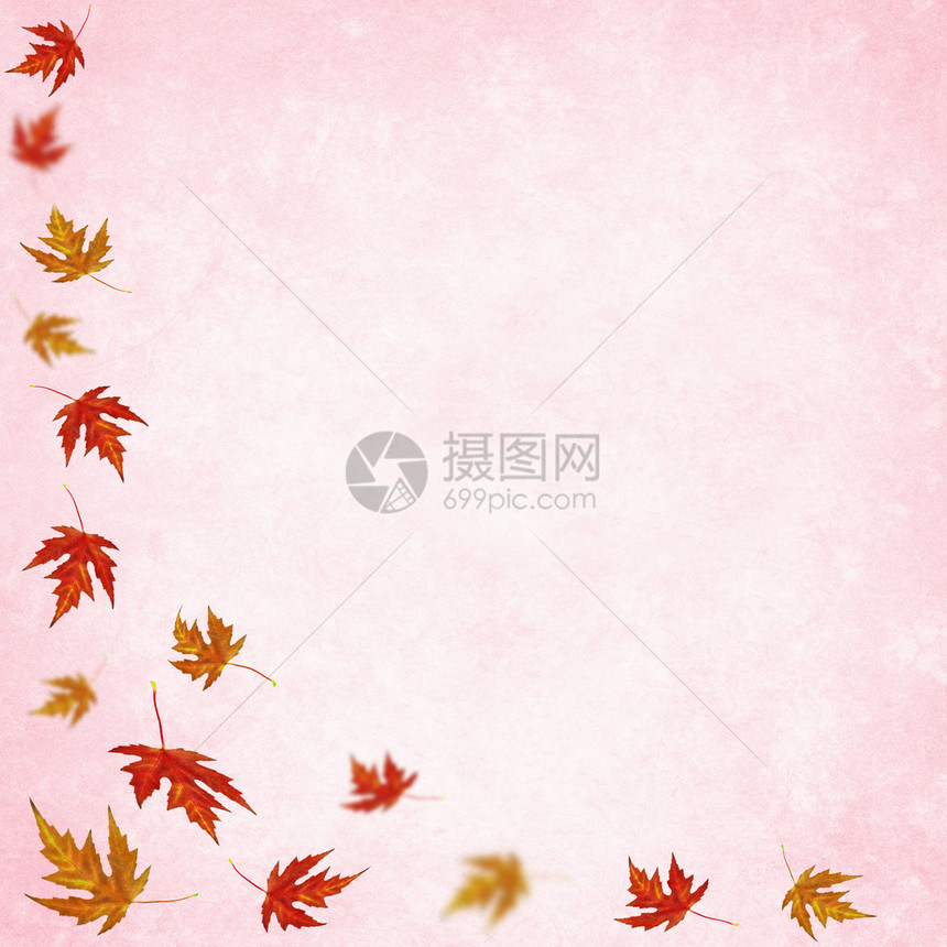 秋背景有彩色树叶图片
