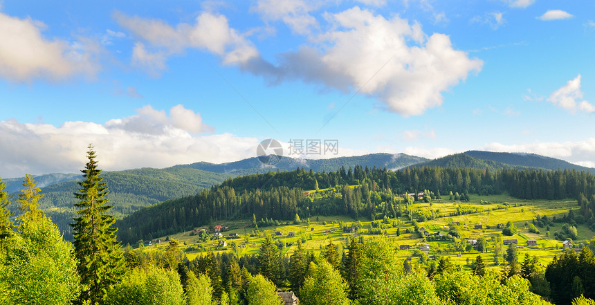 山坡隐形树和夜空云层图片