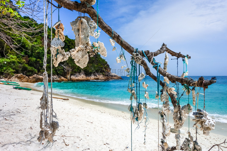 悬挂在浪漫海滩上的珊瑚佩尔亨田群岛丁加奴马来西亚悬挂珊瑚佩尔亨田群岛马来西亚图片
