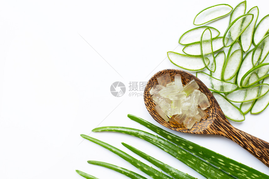 aloevra是一家受欢迎的药用植物于健康和美貌白色背景图片