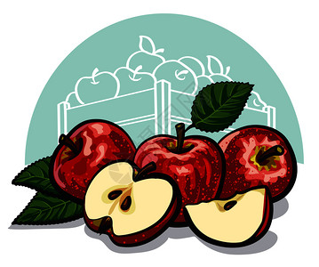 成熟红苹果背景图片
