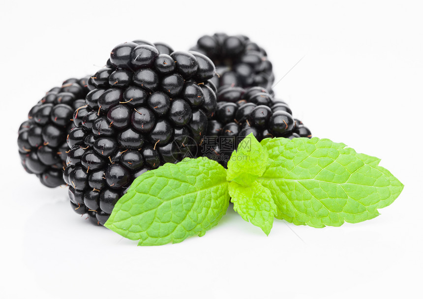 新鲜健康的夏季黑莓白底带薄荷叶图片
