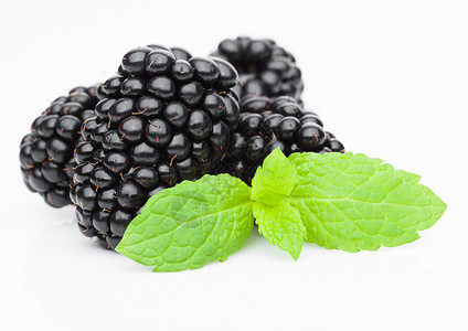 新鲜健康的夏季黑莓白底带薄荷叶图片