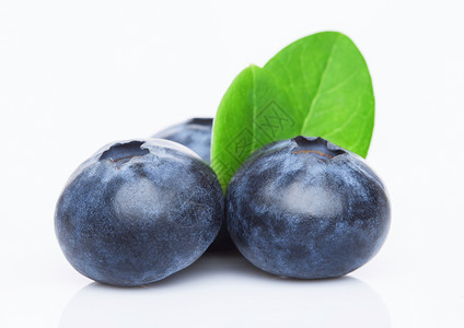 新鲜生有机蓝莓白底叶高清图片