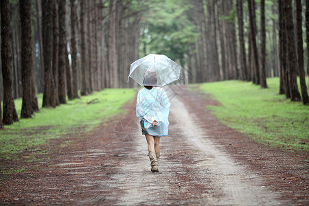 女孩在松林中打雨伞图片