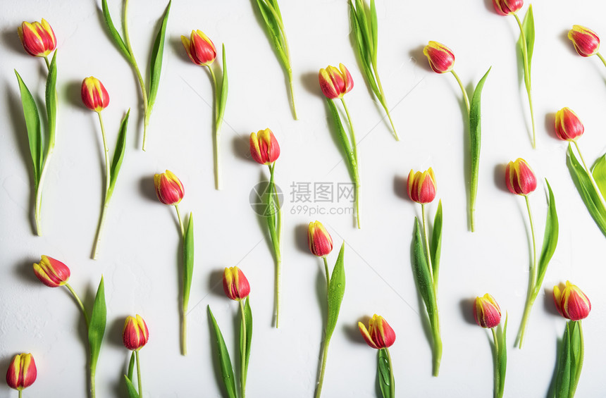 春花背景红色和黄郁金香洒满水在白桌上对称显示图片