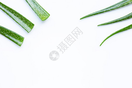 aloevra是一家流行的健康和美药用植物有白色背景背景图片