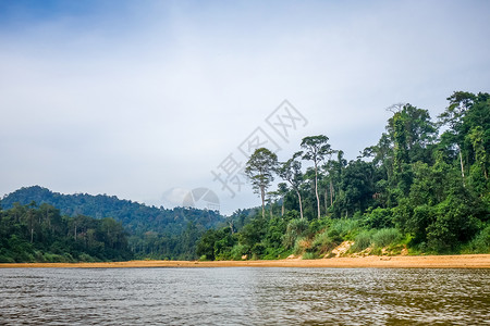 塔曼尼加拉公园马来西亚塔曼尼加拉公园的河流和丛林高清图片