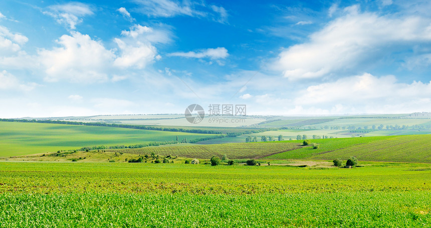 绿地和蓝天空云彩明亮照片宽广图片