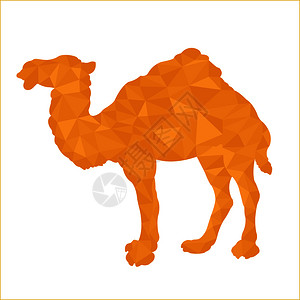 用于设计和装饰的多边形风格骆驼图片
