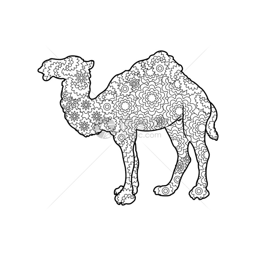 边形风格的骆驼轮框图片