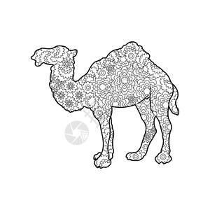 边形风格的骆驼轮框图片
