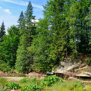 山河和岩岸上的隐森林生态保护的概念图片