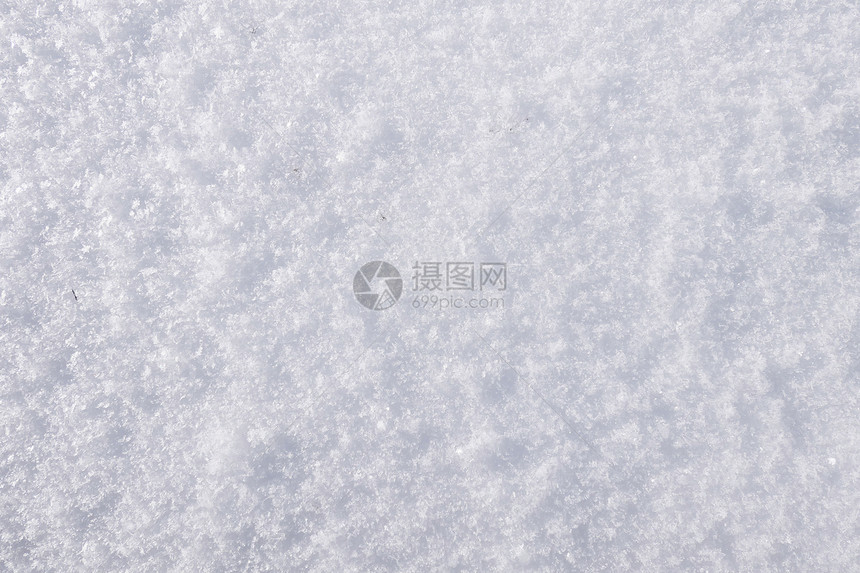 北极新鲜雪图片