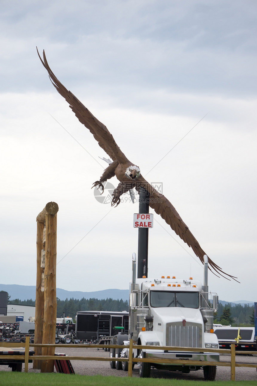 蒙塔纳磨坊中不锈钢雕像翅膀宽48英尺图片