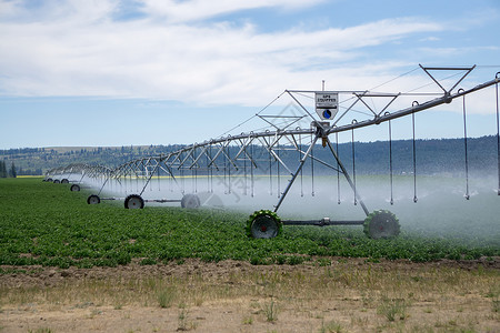 阳光明日的农田灌溉设备背景图片