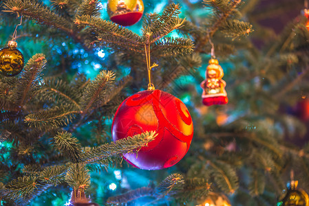 为节假日装饰的圣诞活树图片