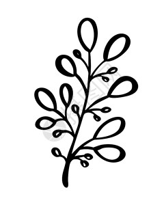 黑白手绘卡通植物树叶图片