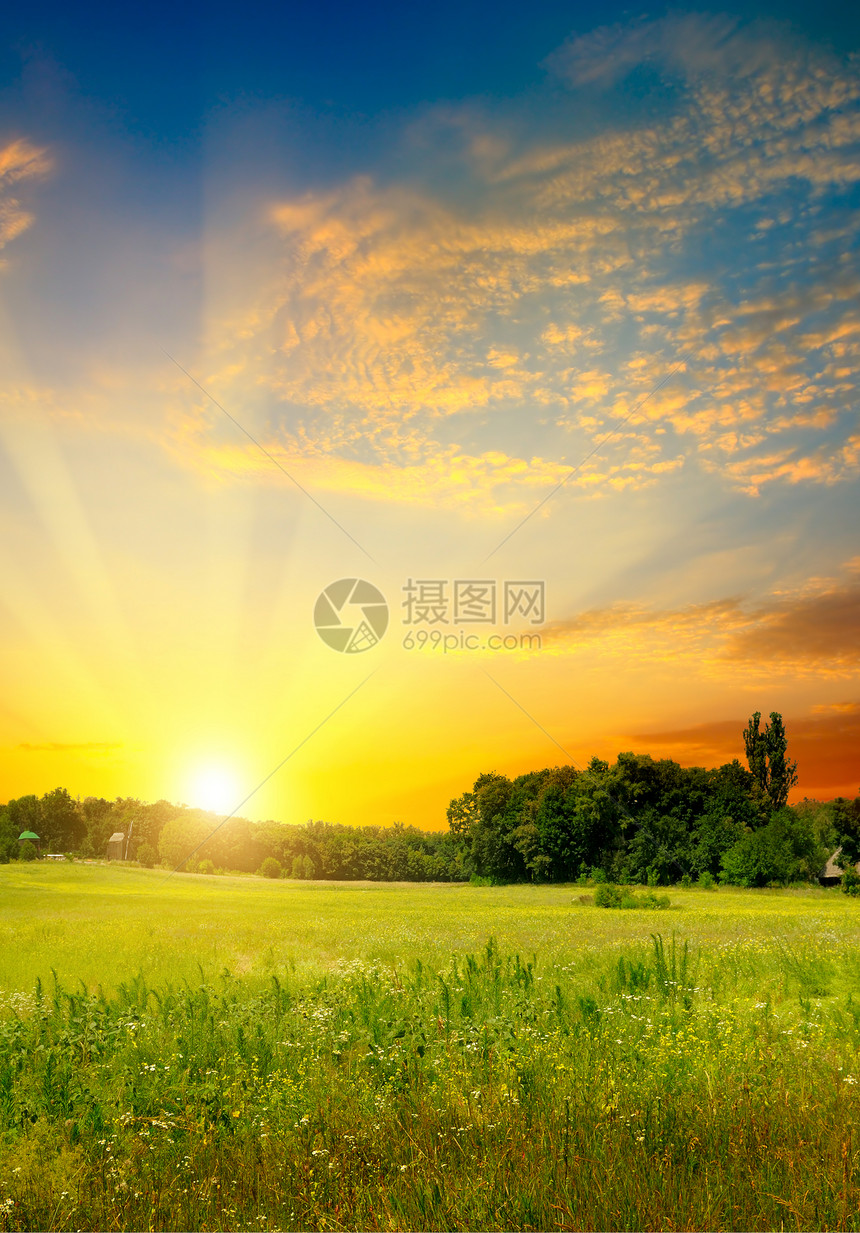 绿地和明夕的日落农村地貌图片