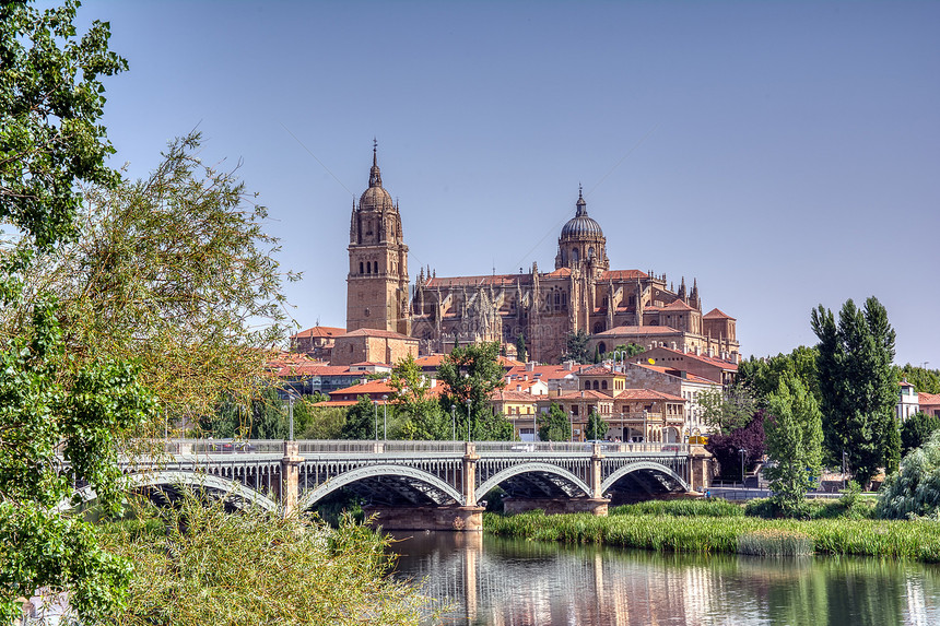 早上从托尔梅斯河萨拉曼卡市西班牙欧洲的托尔梅斯河欧洲的萨拉曼卡大教堂图片