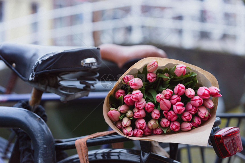 一束美丽的粉红色郁金香花躺在自行车的后备箱上图片