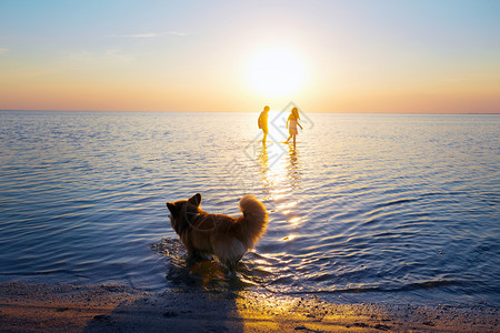 日落时两个小女孩在海上行走图片