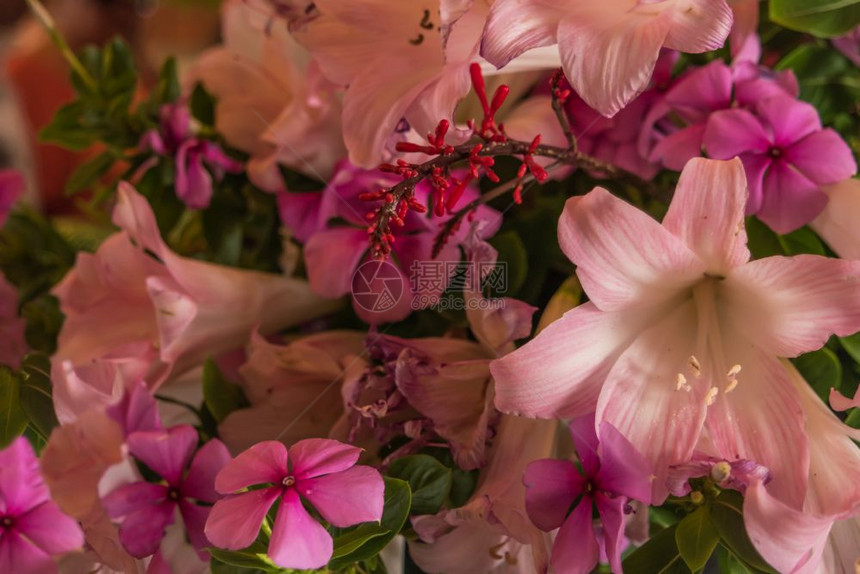 多彩混合花束中的春图片